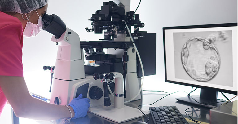embryologist looking through microscope