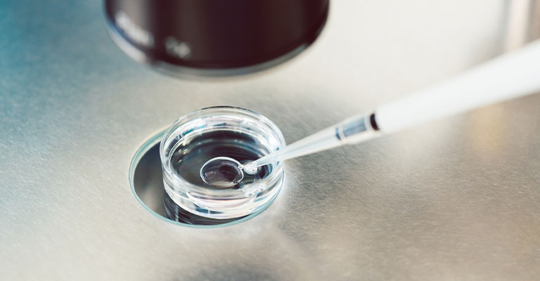 image of fertilization in lab