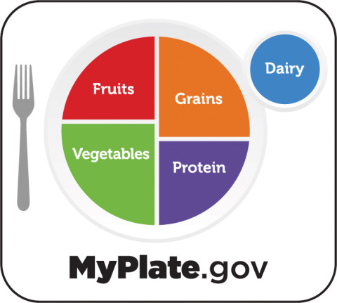 MyPlate logo with food group labels