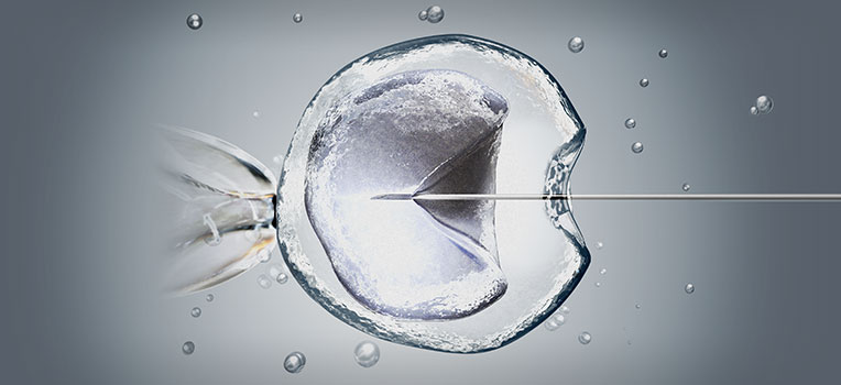 photo of pipette and egg