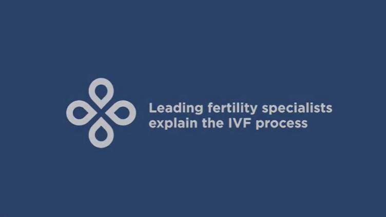 Leading fertility specialists explain the IVF process